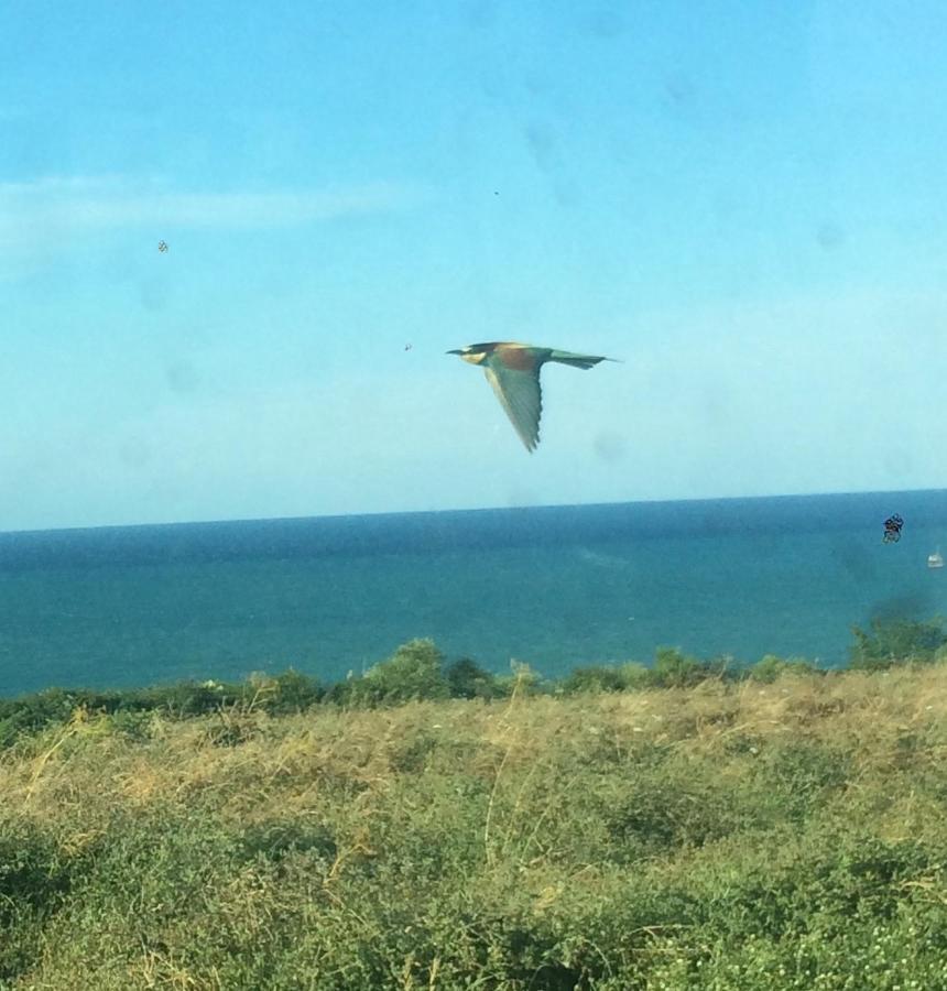 Agriturismo La Costa Dei Trabocchi 托里诺迪桑格罗 外观 照片