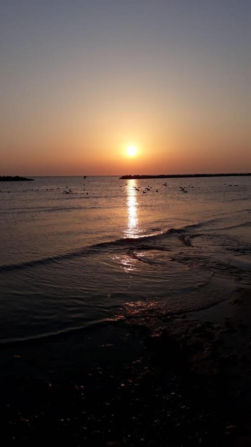 Agriturismo La Costa Dei Trabocchi 托里诺迪桑格罗 外观 照片
