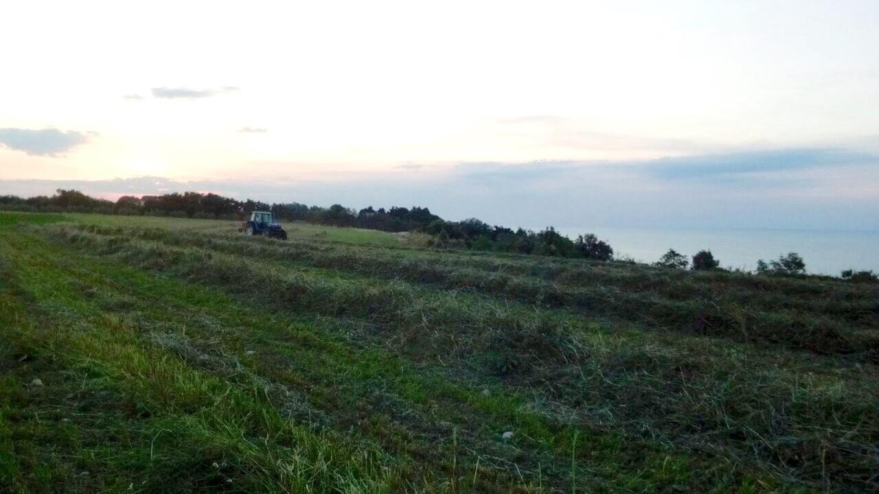 Agriturismo La Costa Dei Trabocchi 托里诺迪桑格罗 外观 照片