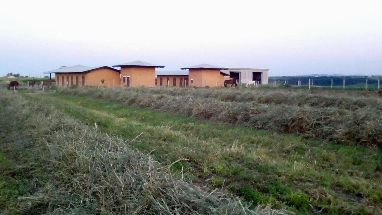 Agriturismo La Costa Dei Trabocchi 托里诺迪桑格罗 外观 照片