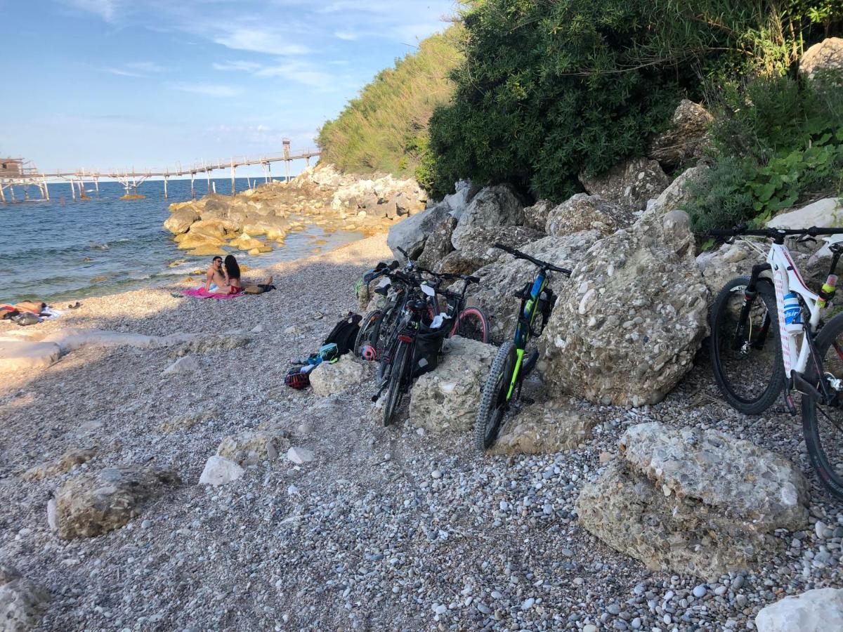 Agriturismo La Costa Dei Trabocchi 托里诺迪桑格罗 外观 照片