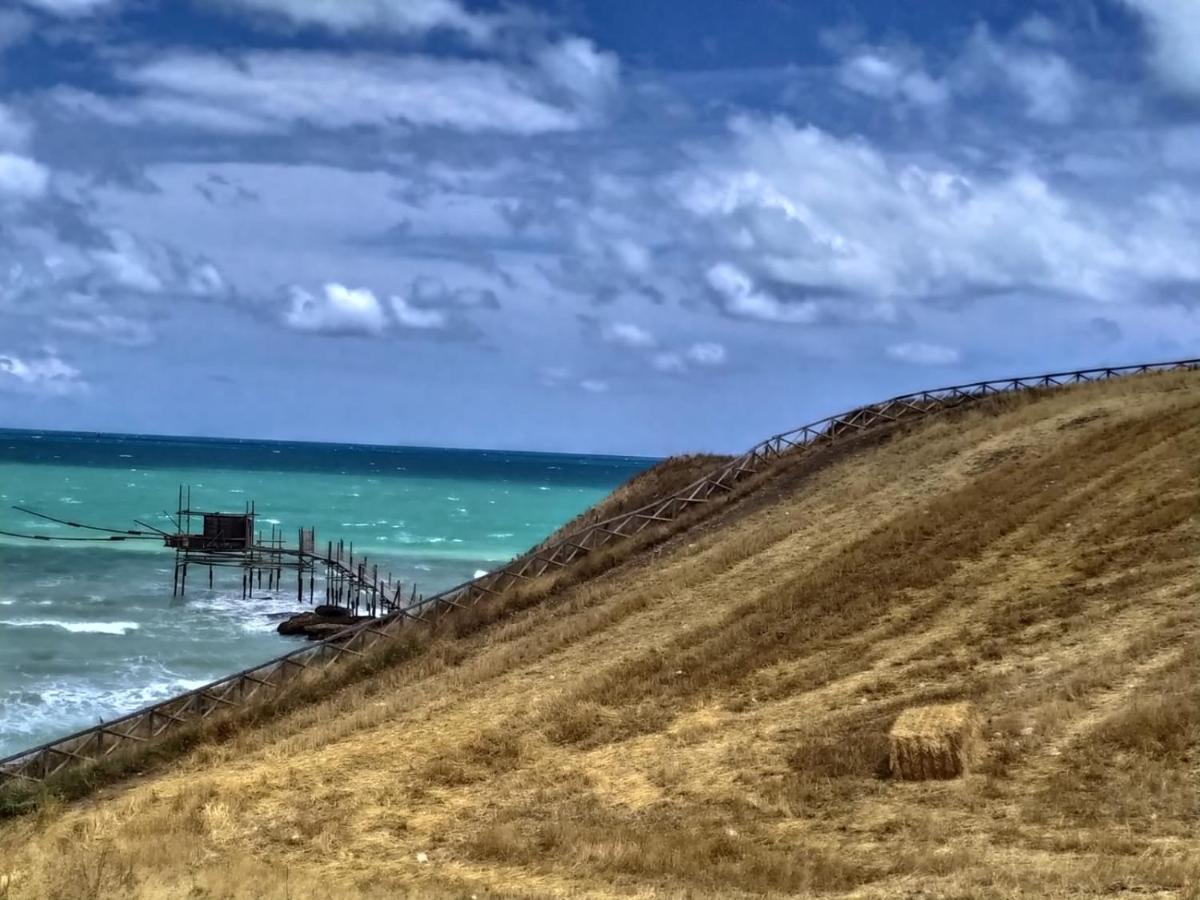 Agriturismo La Costa Dei Trabocchi 托里诺迪桑格罗 外观 照片